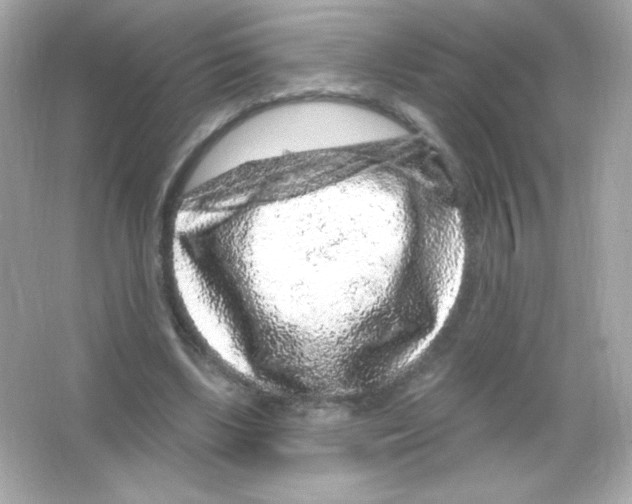 X0000065260443200603172234