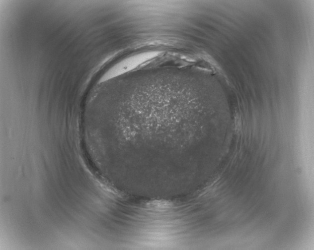 X0000065260444200603172235