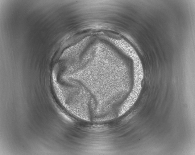 X0000065260445200603172235