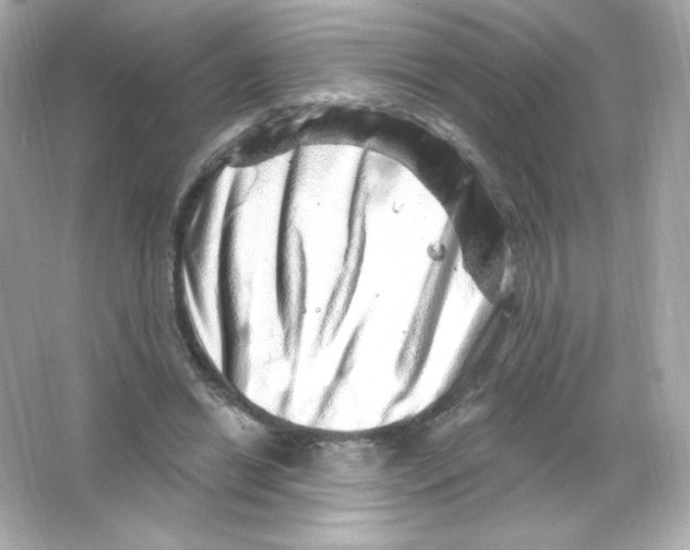 X0000065260446200603172235