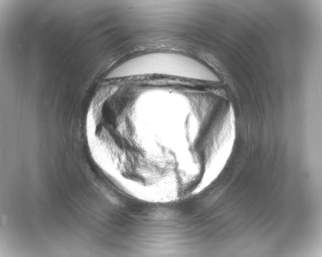 X0000065260449200603172235