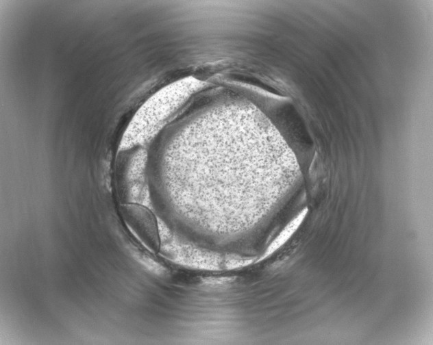 X0000065260450200603172235