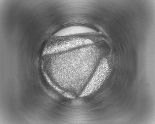 X0000065260451200603172235