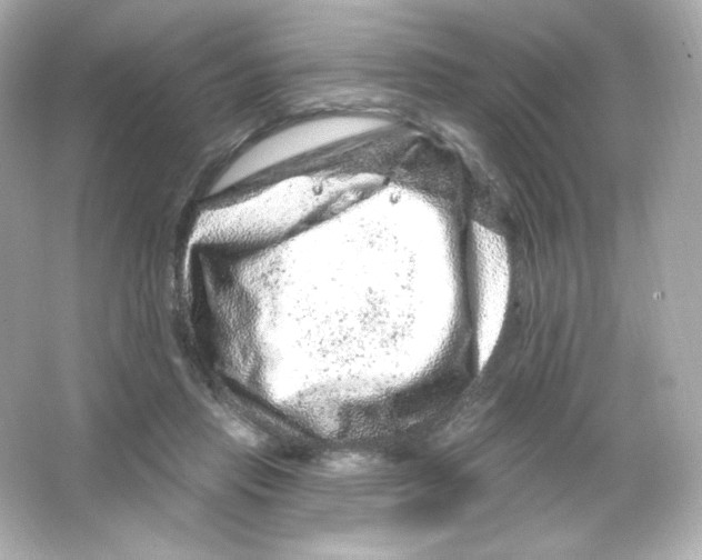 X0000065260453200603172235