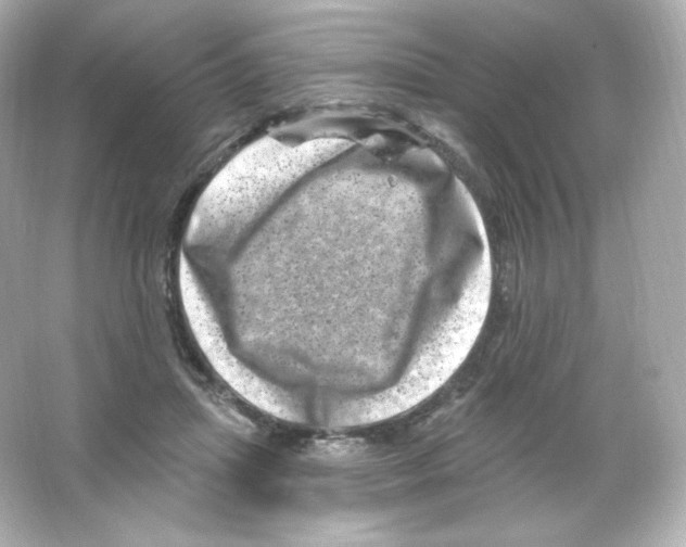 X0000065260455200603172235