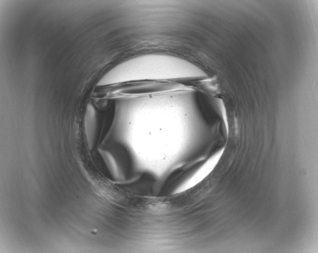 X0000065260456200603172235