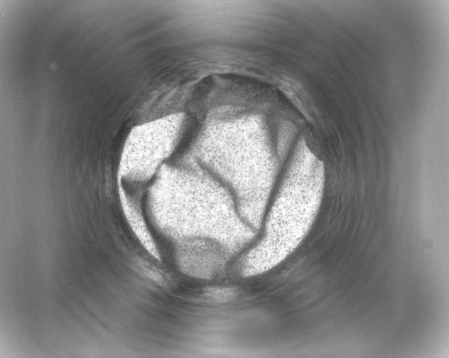 X0000065260457200603172235