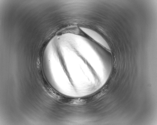 X0000065260459200603172235