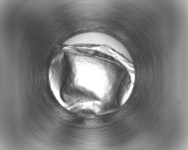 X0000065260461200603172235