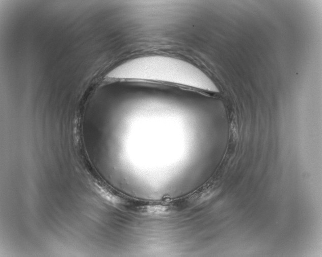 X0000065260462200603172235