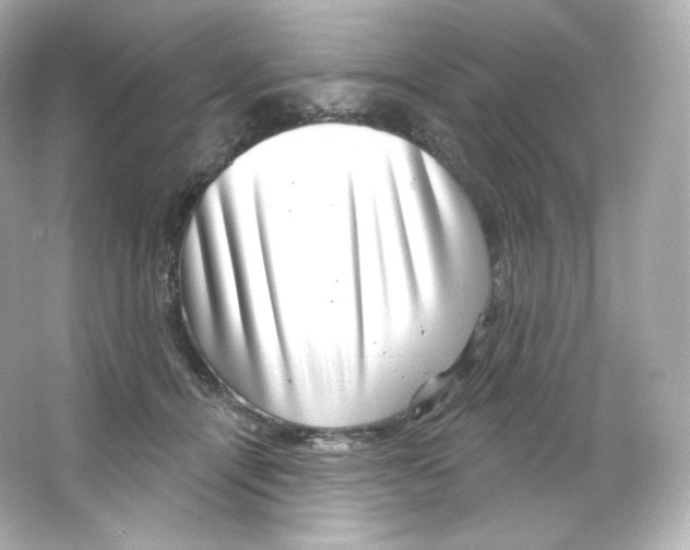 X0000065260464200603172235