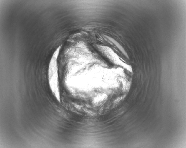 X0000065260466200603172235