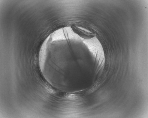 X0000065260467200603172235