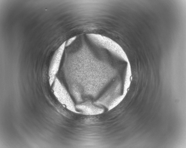 X0000065260468200603172235