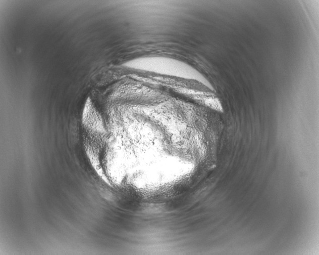 X0000065260469200603172235