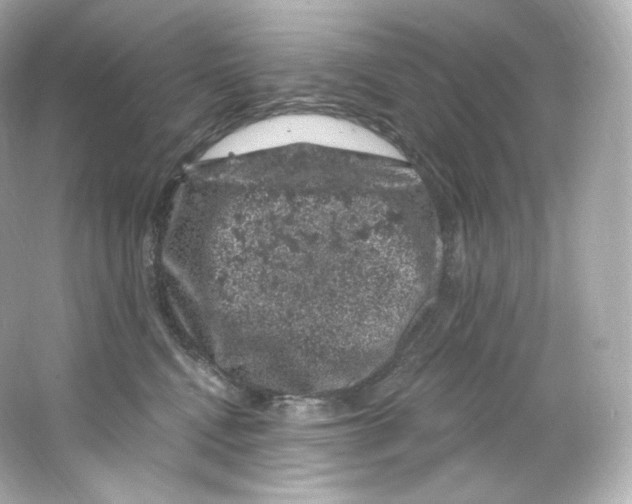 X0000065260472200603172235