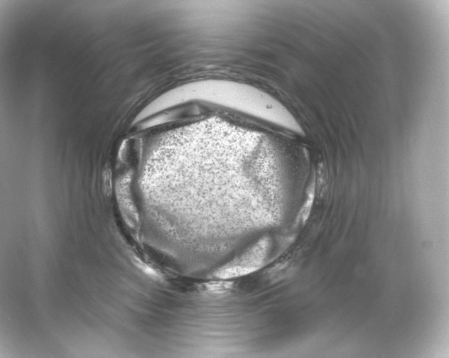 X0000065260474200603172235