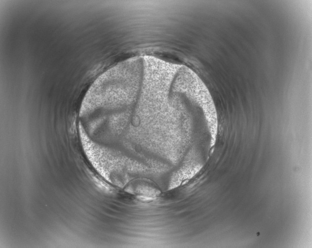 X0000065260477200603172235