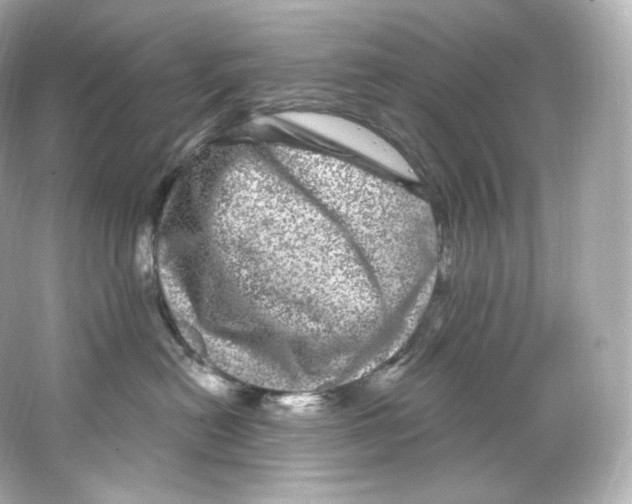 X0000065260478200603172235