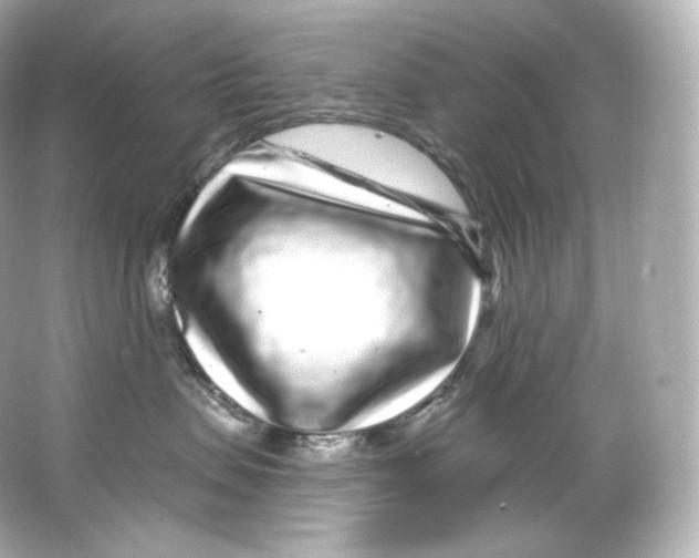 X0000065260479200603172235