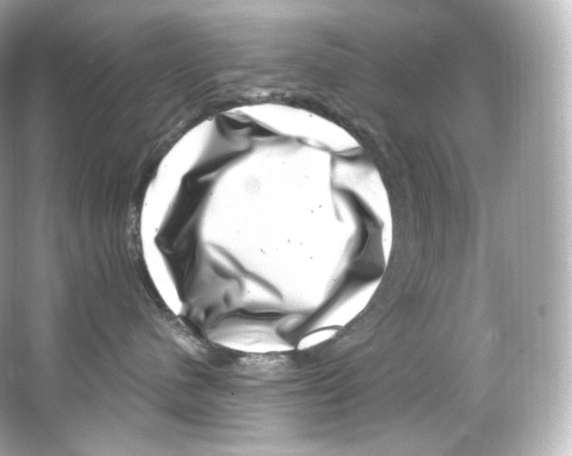 X0000065260480200603172235