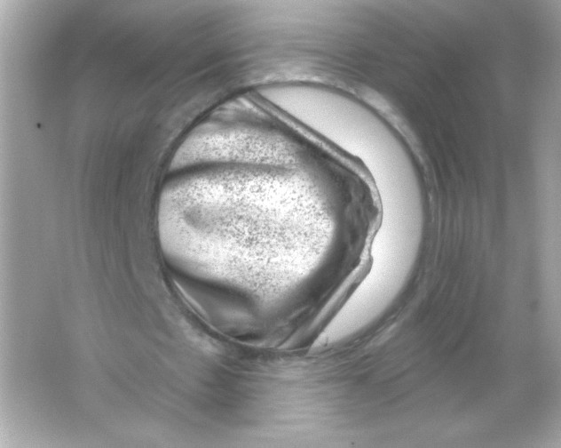 X0000065260481200603172234