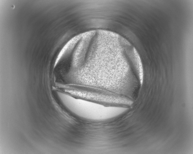 X0000065260482200603172234