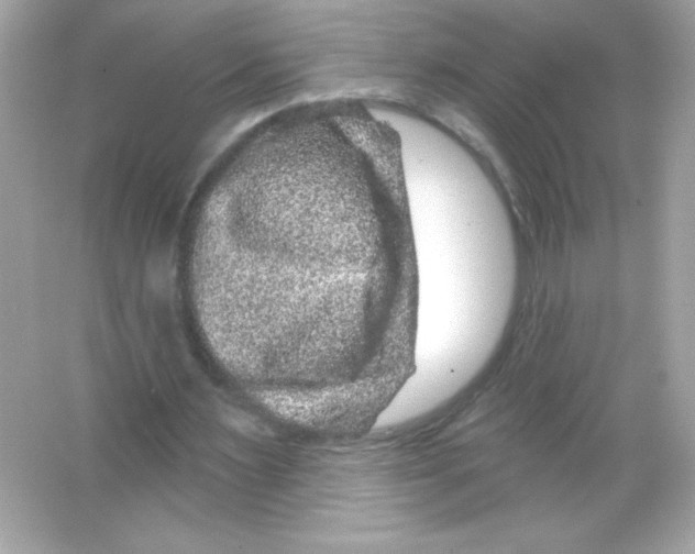 X0000065260483200603172234