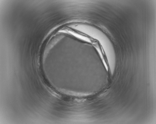 X0000065260484200603172234