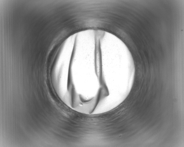 X0000065260486200603172234