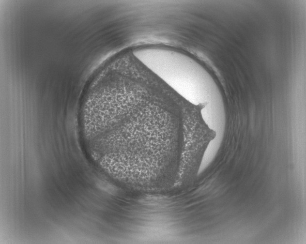 X0000065260487200603172234