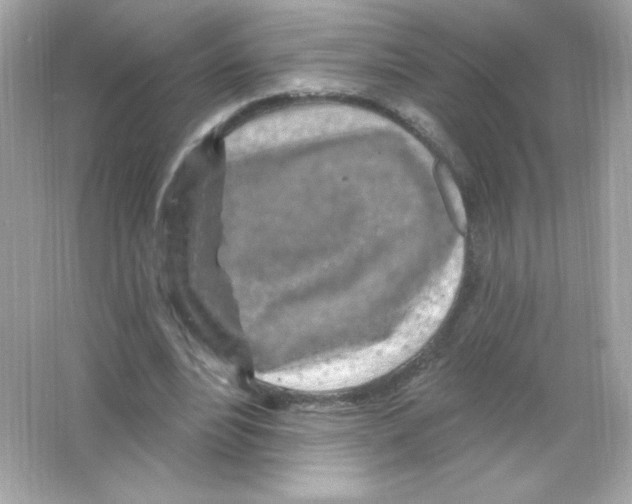 X0000065260488200603172234