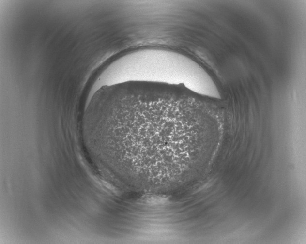 X0000065260491200603172234