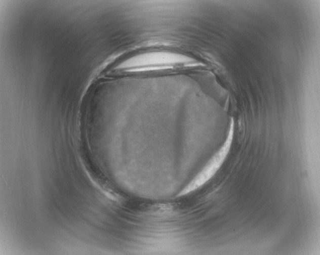 X0000065260492200603172234