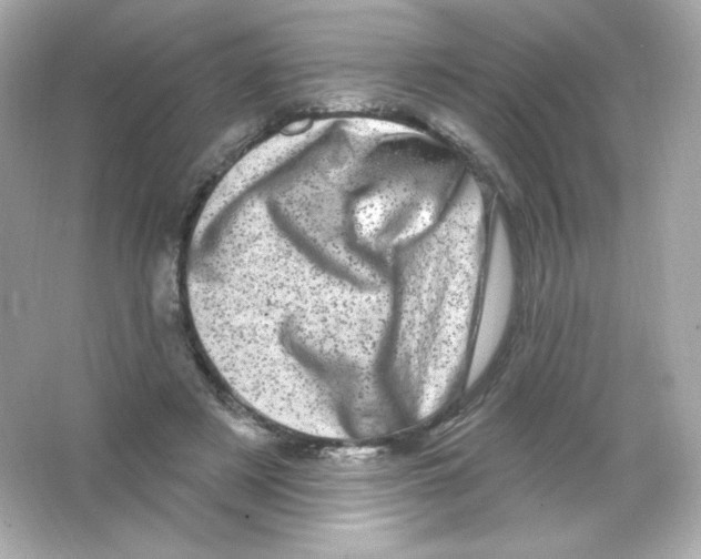 X0000065260497200603172234