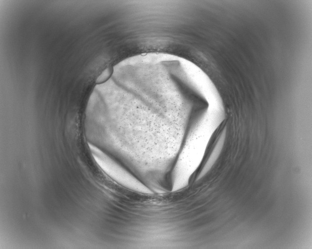 X0000065260498200603172234