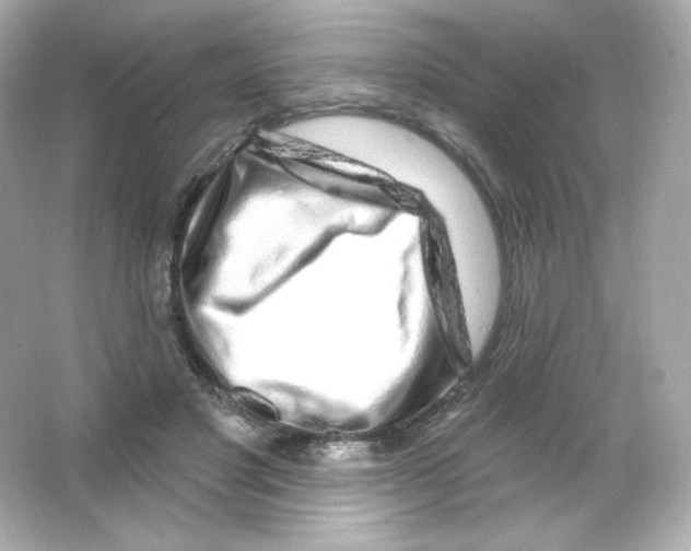 X0000065260501200603172234