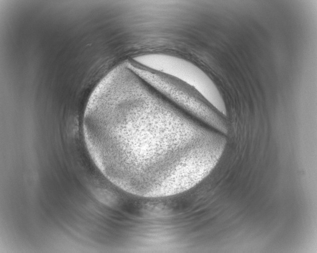 X0000065260502200603172234