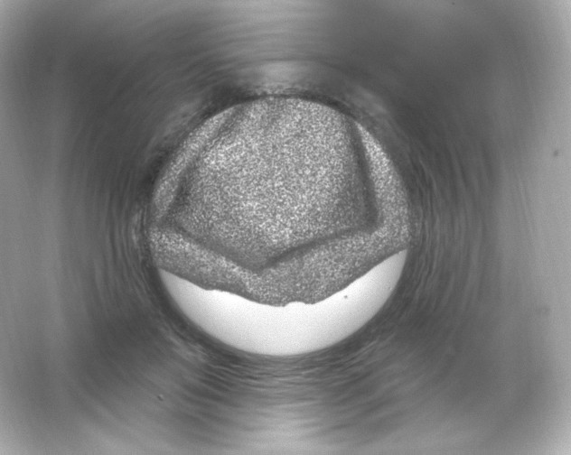 X0000065260503200603172234