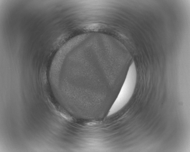 X0000065260504200603172234