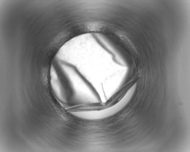 X0000065260505200603172234