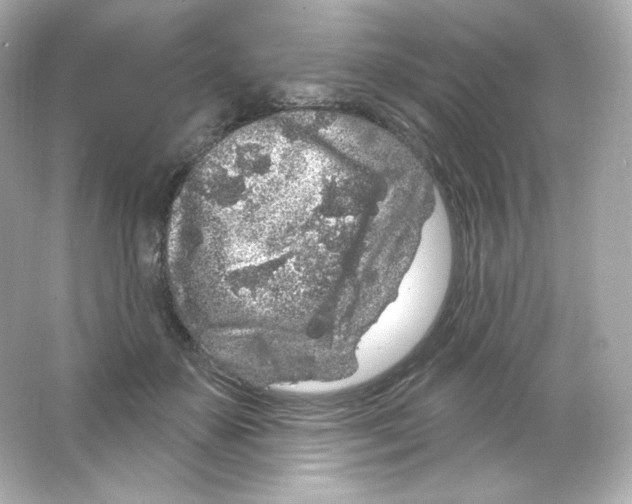 X0000065260507200603172234