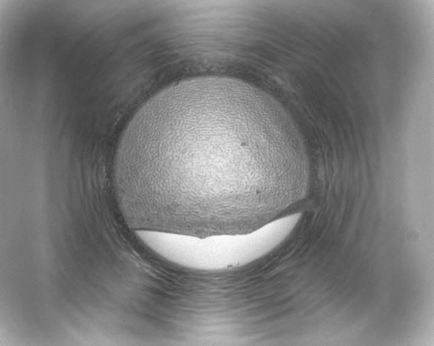 X0000065260508200603172234