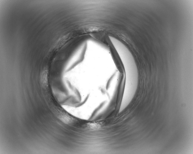 X0000065260509200603172234