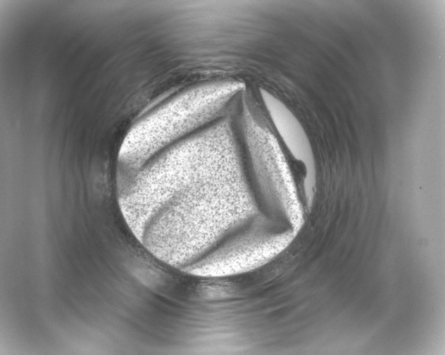 X0000065260510200603172234