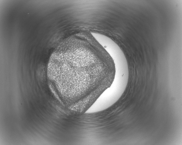 X0000065260511200603172234