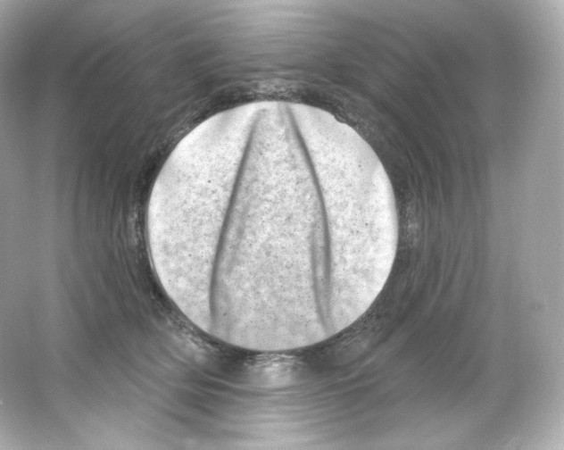 X0000065260514200603172234