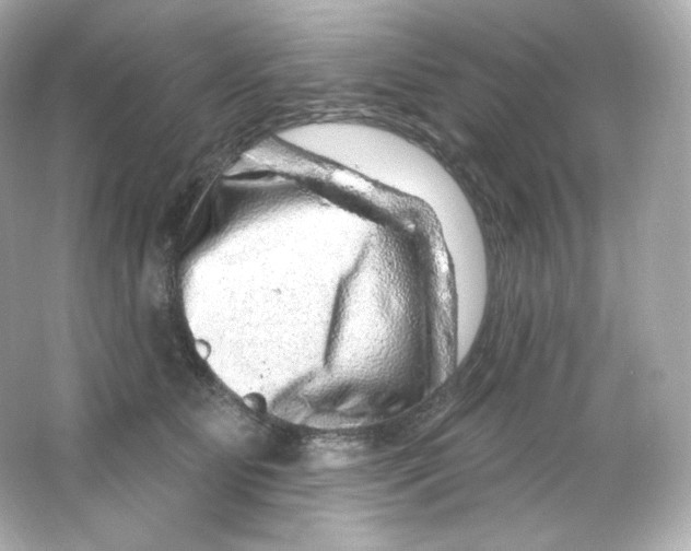 X0000065260515200603172234