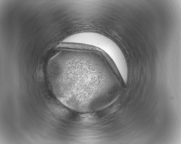 X0000065260516200603172234