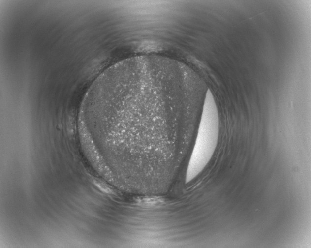 X0000065260517200603172234